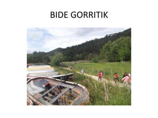 BIDE GORRITIK
 