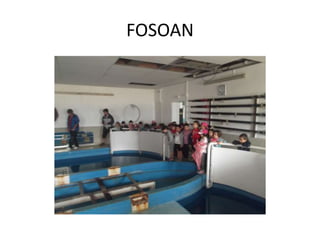 FOSOAN
 