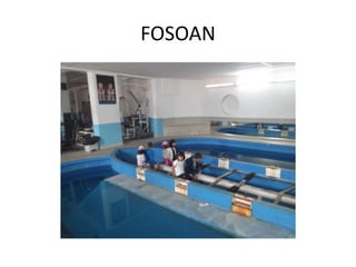 FOSOAN
 