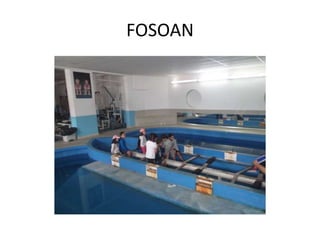 FOSOAN
 