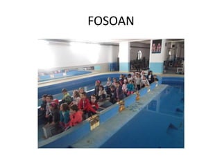 FOSOAN
 