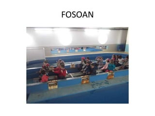 FOSOAN
 