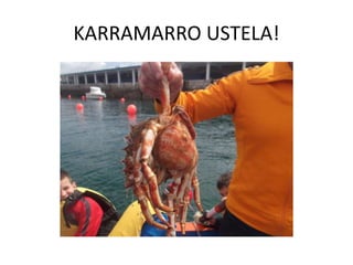 KARRAMARRO USTELA!
 