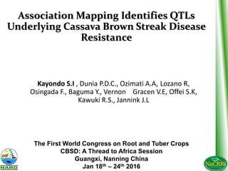 Association Mapping Identifies QTLs
Underlying Cassava Brown Streak Disease
Resistance
Kayondo S.I , Dunia P.D.C., Ozimati A.A, Lozano R,
Osingada F., Baguma Y., Vernon Gracen V.E, Offei S.K,
Kawuki R.S., Jannink J.L
The First World Congress on Root and Tuber Crops
CBSD: A Thread to Africa Session
Guangxi, Nanning China
Jan 18th – 24th 2016
 