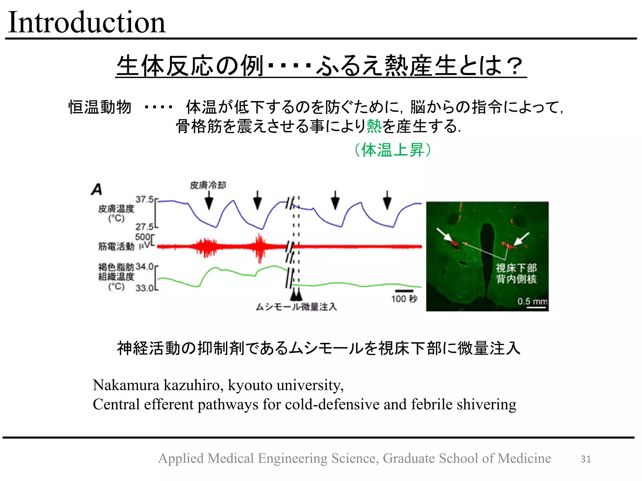 31Applied Medical Engineering Science, Graduate School of Medicine
Introduction
生体反応の例・・・・ふるえ熱産生とは？
神経活動の抑制剤であるムシモールを視床下部に微量注入
Nakamura kazuhiro, kyouto university,
Central efferent pathways for cold-defensive and febrile shivering
恒温動物 ・・・・ 体温が低下するのを防ぐために，脳からの指令によって，
骨格筋を震えさせる事により熱を産生する．
（体温上昇）
 