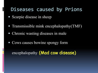 PRIONS AND VIROIDS | PPT
