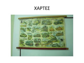 ΧΑΡΤΕΣ
 