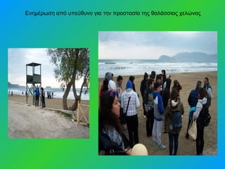 Ενημέρωση από υπεύθυνο για την προστασία της θαλάσσιας χελώνας
 