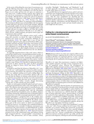 In the service of describing the newer type of consciousness, we
offer the following observation: neoC has many properties that
paleoC does not have. Most compelling to us is the fact that as
long as we are awake and have our eyes open, we experience a
rich visual scene. Conﬂict-resolving contents don’t spring into
and out of our consciousness, as described for Morsella et al.’s
cave-dweller, although they do spring into and out of attention
focus. Rather, we experience a wide range of action affordances;
that is, following Gibson (e.g., 1979), Norman (e.g., 2013),
Turvey (e.g., 2015), and others, we experience action possibilities.
The environment affords many such possibilities, the vast majority
of which will not be relevant to current goals and plans, although
they potentially could be. So why do we have perceptual and cog-
nitive systems that afford such a huge set of possible actions, most
of which will never be taken, conﬂict or no? Why did a simple
system (paleoC), as described by Morsella et al., not sufﬁce, in
which relevant, conﬂict-resolving, perceptual content pops into
consciousness when needed?
We contend that the more elaborate system (neoC) evolved,
along with neocortex, to extend the range of affordances of
animals in the service of niche construction (Withagen & van
Wermeskerken 2010). We suggest this is true at least for
animals that appeared in the past several hundred million years,
especially mammals and birds, which share most features of tha-
lamocortical circuitry (Butler 2008). Niche construction theory
views affordances as coevolving along with the various species’
physical characteristics to allow adaptive behavior in new niches
that themselves are partially constructed from the new affordan-
ces available.
An especially important feature of the neoC system, which we
contend does indeed involve essential thalamocortical circuitry, is
that the affordances it provides allow for some very sophisticated
behaviors. Many of these involve moving the entire body in com-
plicated ways (e.g., a gymnast engaged in a ﬂoor routine). Another
set enables us to extend our behaviors into nonlocal environments
(cognitive maps; Tolman 1948) that allow for planning whole body
movements to places beyond the range of direct perception
(though see Stepp & Turvey [2015] and Turvey [2015] for
alternatives).
It should be noted that the behavior of Morsella et al.’s “crea-
ture in the cave” could arguably be construed as either conscious
or non-conscious. For instance, the experience of “acting involun-
tarily” (e.g., suddenly reaching out to catch a falling object, the
motions one’s body takes to recover/brace during a fall, etc.)
may only lack the illusion of voluntary action because the action
is required to occur before its stimulus can reach consciousness
(cf. Glover 2004). Whether this issue can be resolved (re neoC/
paleoC) may require further research, though determining
“refresh rates” in other animals may prove fruitful.
Finally, we wish to point out that the paleoC and neoC systems,
in advanced animals that have both, must work together to direct
action. The olfactory system does project to neocortical areas, and
those project their more advanced outputs to the mediodorsal
thalamus, presumably integrating there with the information
coming in directly from the piriform cortex. In addition, olfactory
information entering the orbitofrontal cortex is integrated with in-
formation from every other sensory/perceptual system, and the in-
tegrated information is projected back to the sending areas,
including the thalamus. It is therefore not surprising that under-
standing olfactory consciousness is difﬁcult; the paleoC system
does not normally function in isolation in advanced animals.
When parts of the newer system to which it is connected are
knocked out, however, as in damage to the mediodorsal thalamus
or orbitofrontal cortex, anomalies of olfactory consciousness are
experienced. One such anomaly is so-called blindsmell, in which
a person denies olfactory experience but can make some olfactory
discriminations. Notably, Sobel et al. (1999) observed increased
activation levels of the orbitofrontal cortex and thalamus during
high (compared with low, “non-perceptible”) concentrations of
odorants. This phenomenon, and its brain correlates, closely
resembles “blindsight,” “blindhearing,” and “blindtouch,” in all
of which apparently unconscious information processing helps
to guide action (Zucco et al. 2014).
It is possible that our two suggested systems, paleoC and neoC,
could share some fundamental mechanism that gives rise to expe-
rience. It is also possible that there is more than one such mech-
anism, with the more complicated one absorbing the less
complicated, except when the more complicated one itself is inca-
pacitated. Further exploration of the similarities and differences
between olfactory consciousness and that illustrated by vision,
hearing (especially speech), touch, and taste should continue to
yield insight into this mystery.
Calling for a developmental perspective on
action-based consciousness
doi:10.1017/S0140525X15002034, e174
Hana D’Souzaa,b
and Andrew J. Bremnera
a
Sensorimotor Development Research Unit, Department of Psychology,
Goldsmiths, University of London, London SE14 6NW, United Kingdom;
b
Centre for Brain and Cognitive Development, Birkbeck, University of London,
London WC1E 7HX, United Kingdom.
hana.dsouza@gmail.com a.bremner@gold.ac.uk
http://www.cbcd.bbk.ac.uk/people
http://www.gold.ac.uk/psychology/staff/bremner/
Abstract: Human newborns can resolve some response conﬂicts in order
to adapt their behaviour, suggesting that the newborn has consciousness
according to Morsella et al.’s framework. However, we pose a range of
developmental questions regarding Morsella et al.’s account, especially
concerning the role of consciousness in the development of action.
Morsella et al. argue that consciousness comprises not higher-
order cognitive processes, but basic sensory components neces-
sary for purposeful action. Whereas the development of
higher-order cognitive processes remains a matter of debate (e.g.,
Blakemore & Choudhury 2006; Zelazo 2004), it is more accepted
that the sensory constituents of action change substantially in early
life as a result of the interplay between sensorimotor experience
and brain development (Gibson & Pick 2000; Mareschal et al.
2007;Thelen&Smith1996).AlthoughitisunclearwhetherMorsella
et al. view consciousness as a static or developmental phenomenon,
all accounts of psychological functioning including those concerning
consciousnessarenecessarilyconstrainedbywhatweknowofthede-
veloping organism. Hence, we believe that a consideration of devel-
opment provides an important point of reference and validation for
Morsella et al.’s proposal.
Morsella et al. propose that the function of consciousness is to
allow the integration of intentional drives towards certain skeletal
muscle outputs which are incompatible in a given situation. One
example which they offer is that of holding one’s breath underwa-
ter – they view consciousness as a ﬁeld in which the conﬂicting
goals of being underwater and the natural tendency to breathe
are resolved. In their explanation of this position, Morsella et al.
introduce “a hypothetical, simpliﬁed, human-like mammal that,
though conscious […], is not equipped with many of the compli-
cated abilities/states associated with adult humans” (sect. 1.3,
para. 1, italics added). A non-hypothetical organism already ﬁts
Morsella et al.’s description: the human newborn.
We want Morsella et al. to replace their hypothetical “creature
in the cave” with a human newborn for two reasons. First, this
will allow us to examine whether their framework can describe
real examples. Consciousness is likely to have a speciﬁc biological
substrate working under different constraints to those of the
“creature in the cave”. Second, a consideration of developmental
differences between newborn and (let’s say) adult, and also the
processes of development, will help test and extend their proposal.
Commentary/Morsella et al.: Homing in on consciousness in the nervous system
BEHAVIORAL AND BRAIN SCIENCES, 39 (2016) 21
https:/www.cambridge.org/core/terms. https://doi.org/10.1017/S0140525X15002228
Downloaded from https:/www.cambridge.org/core. University of Colorado Boulder, on 01 Apr 2017 at 14:55:13, subject to the Cambridge Core terms of use, available at
 
