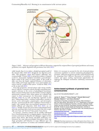 viable bounds, than it is to induce a detailed perceptual model of
the internal milieu (Seth 2015), though the one depends on the
other. This perspective echoes Karl Friston’s inﬂuential “free
energy principle” (Friston 2009) in saying that avoidance of atypical
events (i.e., homeostatic regulation) necessitates a generative/pre-
dictive model of the causes of sensory inputs. It also recalls an
older view from the largely neglected literature of cybernetics,
where Ashby and Conant argued that “every good regulator of a
system must be a model of that system” (Conant & Ashby 1970,
p. 89; see also Seth 2015).
From this perspective, internal actions make strong contribu-
tions to (affective) conscious contents through constraining inter-
oceptive inference in the service of physiological homeostasis.
These conscious feeling states may then further constrain adaptive
skeletomotor responses when action options are evaluated with
respect to their consequences for homeostatic integrity (see
Damasio [1994] for an early non-Bayesian expression of this
idea). Taking things further, combined multimodal or amodal in-
ference across exteroceptive, proprioceptive, and interoceptive
domains – geared towards the active regulation of homeostatic in-
tegrity – may underlie basic non-conceptual experiences of em-
bodied selfhood and subjectivity (Seth 2013; 2015); see my
Figure 1. Notably, because the preservation of physiological integ-
rity is the most basic duty of any nervous system, this view is argu-
ably more basic and “low level” than passive frame theory.
In summary, conscious contents can be usefully understood
from a functional perspective in shaping adaptive voluntary skele-
tomotor control, just as Morsella and colleagues suggest in their
passive frame theory. But human (and likely nonhuman) con-
sciousness has many phenomenological dimensions which may
shape perception and behaviour in many different ways. To
explain basic experiences of emotion and embodied selfhood, I
believe it is necessary to account for the role of internal actions
(autonomic regulation) in actively maintaining physiological ho-
meostasis. A Bayesian perspective provides a powerful framework
for integrating these different dimensions of prediction and
control, and opens exciting experimental opportunities for
exploring the biological mechanisms underlying consciousness
and self.
Action-based synthesis of parental brain
consciousness
doi:10.1017/S0140525X15002277, e197
James E. Swain,a-e
Ilinca Caluser,b
Zainab Mahmood,b
Madalyn Meldrim,b
and Diana Morelenb
a
Department of Psychiatry and Behavioral Science, State University of
New York–Stony Brook, Stony Brook, NY 11777, b
Departments of Psychiatry,
Division of Child and Adolescent Psychiatry, University of Michigan Health
System, Ann Arbor, MI 48109; c
Psychology, University of Michigan, Ann Arbor,
MI 48109; d
Center for Human Growth and Development, University of
Michigan, Ann Arbor, MI 48104; e
Child Study Center, Yale University School of
Medicine, New Haven, CT 06520.
jamesswa@med.umich.edu icaluser@umich.edu
zainabma@umich.edu meldrim@med.umich.edu
dmorelen@med.umich.edu
http://www.uofmhealth.org/proﬁle/1678/james-edward-swain-md-phd-
frcpc
Abstract: Parenting consciousness, in line with passive frame theory, may
be considered inseparable from action. With combined brain-imaging and
Figure 1 (Seth). Inference and perception in different dimensions, supported by reciprocal ﬂows of perceptual predictions and sensory
prediction error signals. Reprinted with permission from Seth (2015).
Commentary/Morsella et al.: Homing in on consciousness in the nervous system
42 BEHAVIORAL AND BRAIN SCIENCES, 39 (2016)
https:/www.cambridge.org/core/terms. https://doi.org/10.1017/S0140525X15002228
Downloaded from https:/www.cambridge.org/core. University of Colorado Boulder, on 01 Apr 2017 at 14:55:13, subject to the Cambridge Core terms of use, available at
 