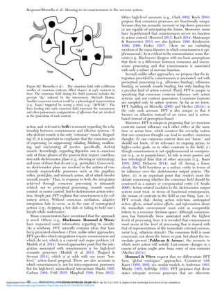 action, and, relevant to Seth’s comment regarding the rela-
tionship between consciousness and effector systems, (f)
why skeletal muscle is the only “voluntary” muscle. Regard-
ing (f), it is important to emphasize that the conscious acts
of expressing (or suppressing) inhaling, blinking, swallow-
ing, and micturating all involve, speciﬁcally, skeletal
muscle. Accordingly, regarding digestion, one is conscious
only of those phases of the process that require coordina-
tion with skeletomotor plans (e.g., chewing or micturating)
and none of those that do not (e.g., peristalsis). Conversely,
no skeletomotor plans are involved in the actions of con-
sciously impenetrable processes such as the pupillary
reﬂex, peristalsis, and stomach action, all of which involve
smooth muscle.1
Thus, in response to Seth, the integration
achieved through conscious processing is intimately
related, not to perceptual processing, smooth muscle
control, or motor control, but to skeletomotor action selec-
tion. Simply put, PFT explains that consciousness is for vol-
untary action. Without conscious mediation, adaptive
integration fails to occur, as in the case of unintegrated
actions (e.g., dropping a hot dish or failing to hold one’s
breath while underwater).
Many commentators have mentioned that the approach
is novel. Others (e.g., Blackmore, Hommel & Wiers)
have requested more information regarding its novelty.
(As a synthesis, PFT naturally contains ideas that have
been presented elsewhere.) First, unlike other approaches,
PFT speciﬁes which integrations require consciousness and
which do not, which is a current and major problem (cf.
Mudrik et al. 2014). Several approaches posit that the inte-
gration associated with consciousness is for high-level
semantic processes (Mudrik et al. 2014; Thagard &
Stewart 2014), which is at odds with our more “low-
level,” action-based proposal. There are also accounts in
which consciousness is, not for intra-organismic processes,
but for high-level, sociocultural interactions (Banks 1995;
Carlson 1994; Frith 2010; Macphail 1998; Prinz 2012).
Other high-level accounts (e.g., Clark 2002; Koch 2004)
propose that conscious processes are functionally unique
because they tax semantic memory or top-down processes
or are capable of anticipating the future. Moreover, some
have hypothesized that consciousness serves no function
in action control (Hommel 2013; Koch 2014; Masicampo
& Baumeister 2013; see also Jackson 1986; Kinsbourne
1996; 2000; Pinker 1997). (Here we are excluding
mention of the many theories in which consciousness is epi-
phenomenal.) As is evident in the commentaries, some the-
orists (e.g., Blackmore) disagree with our basic assumptions
that there is a difference between conscious and uncon-
scious processing and that consciousness is associated
with only a subset of nervous function.
Second, unlike other approaches, we propose that the in-
tegration provided by consciousness is associated, not with
perceptual processing (e.g., afference binding), efference
binding, or smooth muscle binding, but with binding for
a peculiar kind of action control. Third, PFT is unique in
specifying that conscious contents inﬂuence only action
systems and not content generators: Conscious contents
are sampled only by action systems. As far as we know,
PFT, building on Morsella (2005) and Merker (2013c), is
the only such account. PFT is also unique in that it
focuses on olfaction instead of on vision and is action-
based instead of perception-based.
Moreover, PFT is unique in proposing that (a) conscious
contents cannot inﬂuence each other either at the same
time or across time, which counters the everyday notion
that one conscious thought can lead to another conscious
thought; (b) one conscious content does not “know,” and
should not know, of its relevance to ongoing action, to
higher-order goals, or to other contents in the ﬁeld; (c)
though consciousness is not epiphenomenal or omnipres-
ent (e.g., as in panpsychism), its role is more passive and
less teleological than that of other accounts (e.g., Baars
1988; 2002; Dehaene 2014); and (d) during a frame
check, the ﬁeld functions as a unitary entity in terms of
its inﬂuence over the skeletomotor output system. The
latter, (d), is an important point that renders moot the
debate concerning whether the conscious ﬁeld should be
construed as a unitary or componential entity (cf. Searle
2000): Action-related modules in the skeletomotor output
system must treat, in terms of functional consequences,
the mosaic of contents in the ﬁeld as one thing. Last, (e)
PFT reveals that, during action selection, anticipated
action effects, actual action effects, and information about
the immediate environment must exist as comparable
tokens in a common decision-space. Although conscious-
ness has historically been associated with the highest
levels of processing, here it is revealed that consciousness
must occur at the level of processing that is shared with
that of representations of the immediate external environ-
ment (e.g., olfactory stimuli). The conscious ﬁeld is most
concerned, not about the future or past, but about the im-
mediate present (Pahlavan & Arouss), the scenario in
which overt action will unfold. Last-minute changes in a
course of action might arise from entry of new contents
(Merker 2013c).
Hommel & Wiers request that we differentiate PFT
from “global workspace” approaches. Consistent with
Baars (1988; 2002; see similar models in Anderson 1983;
Minsky 1985; Selfridge 1959), PFT proposes that these
states integrate nervous processes that are otherwise
Figure R2 (Morsella et al.). The conscious ﬁeld, with a different
medley of conscious contents (ﬁlled shapes) at each moment in
time. The conscious ﬁeld during the third moment includes the
percept “da,” induced by the intersensory, McGurk illusion.
Another conscious content could be a phonological representation
(e.g., /haus/) triggered by seeing a word (e.g., “HOUSE”). The
lines feeding into each conscious ﬁeld represent the unconscious
and often polysensory conﬁgurations of afference that are involved
in the generation of each content.
Response/Morsella et al.: Homing in on consciousness in the nervous system
46 BEHAVIORAL AND BRAIN SCIENCES, 39 (2016)
https:/www.cambridge.org/core/terms. https://doi.org/10.1017/S0140525X15002228
Downloaded from https:/www.cambridge.org/core. University of Colorado Boulder, on 01 Apr 2017 at 14:55:13, subject to the Cambridge Core terms of use, available at
 