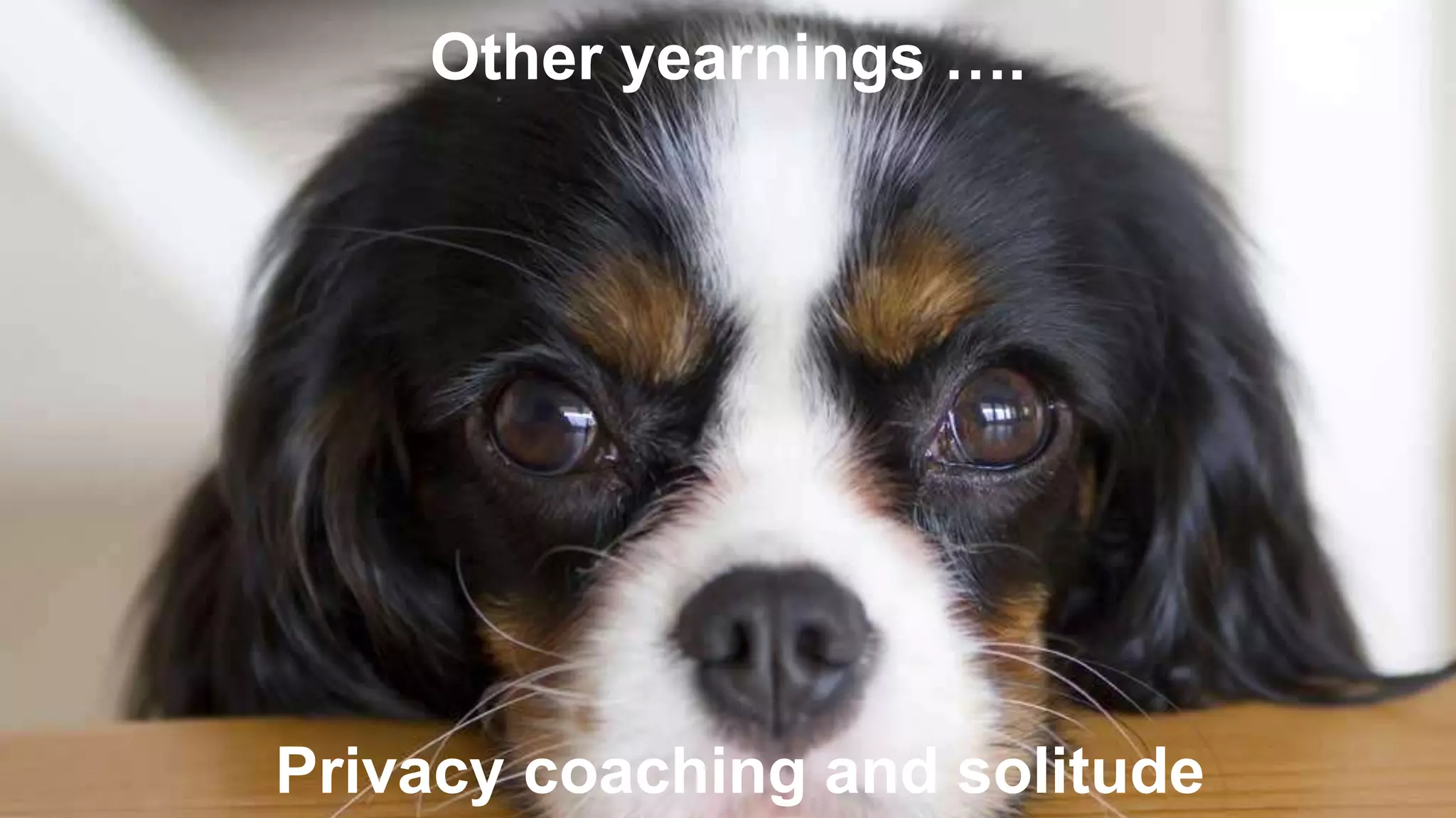Other yearnings ….
Privacy coaching and solitude
 