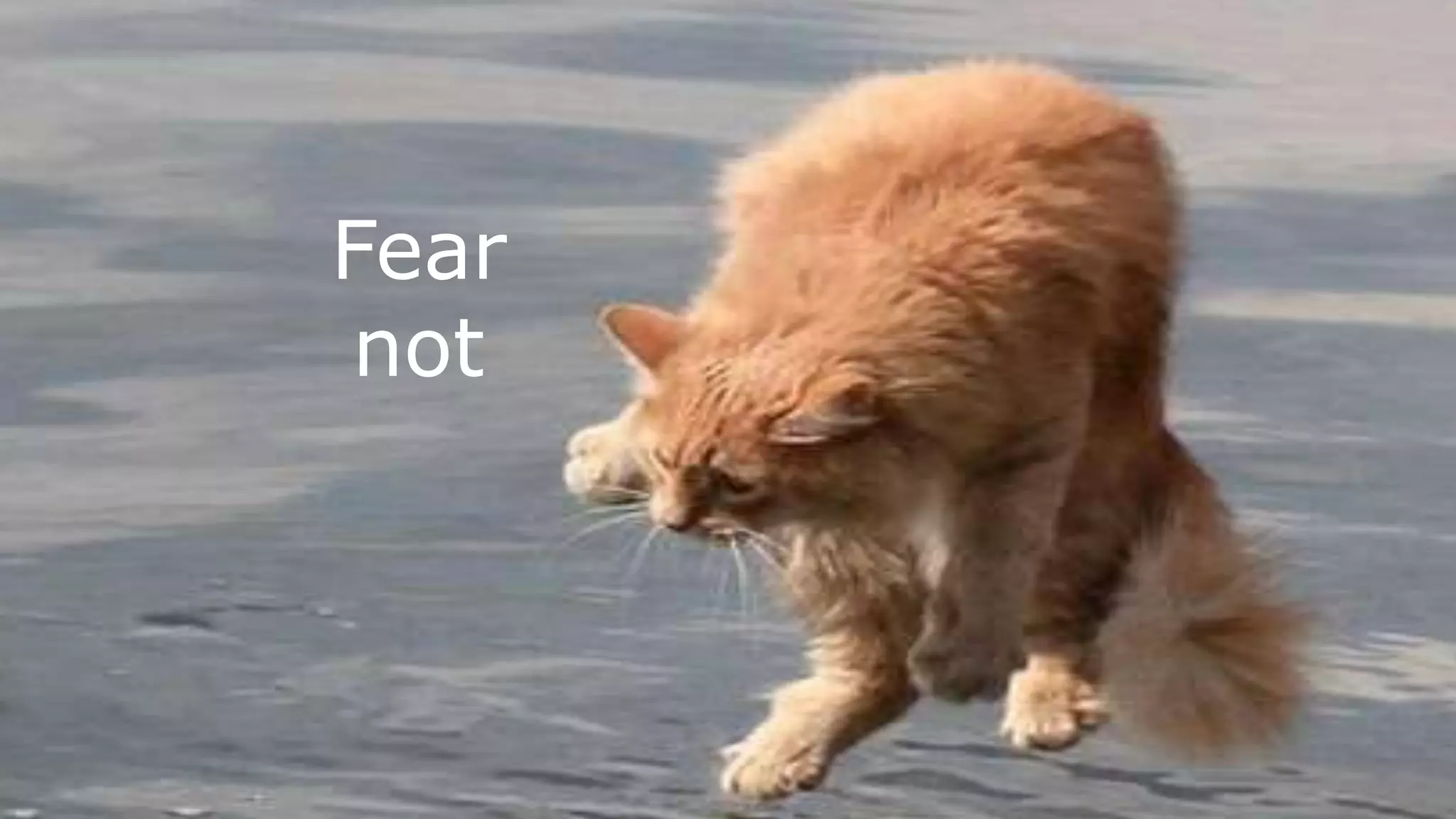 Fear
not
 