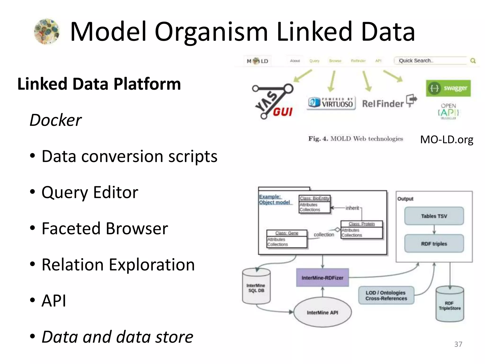 Linked Data Platform
Docker
• Data conversion scripts
• Query Editor
• Faceted Browser
• Relation Exploration
• API
• Data and data store
Model Organism Linked Data
MO-LD.org
37
 