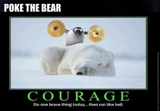 Image:http://cdn.funnyisms.com/79faa0dd-8148-4208-8c98-8b2b78eb3866.jpg
POKE THE BEAR
 