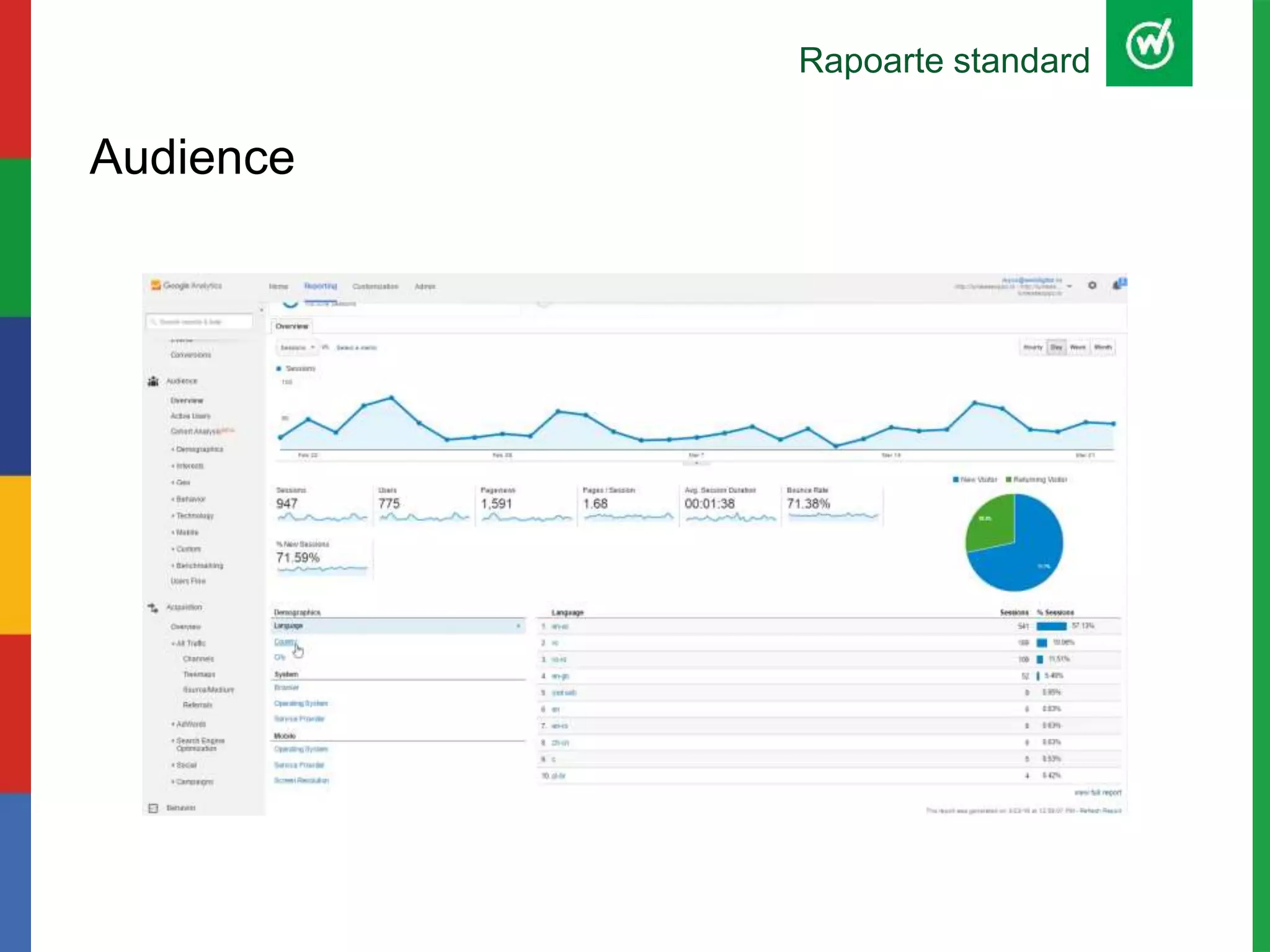 Rapoarte standard
Audience
 