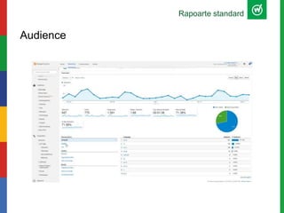 Rapoarte standard
Audience
 