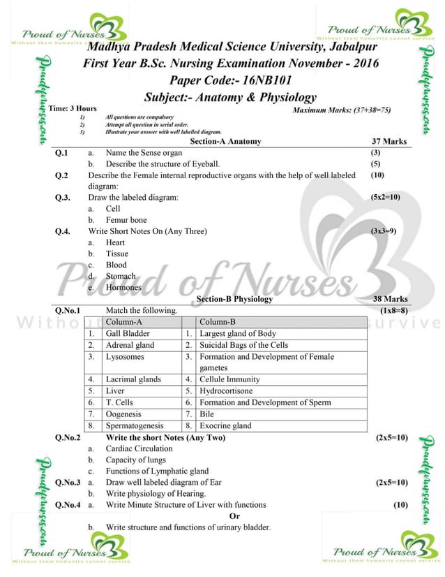 ANATOMY AND PHYSIOLOGY BSC NURSING 1ST YEAR PDF visual data 4
