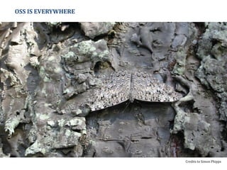 OSS IS EVERYWHERE
Credits to Simon Phipps
 