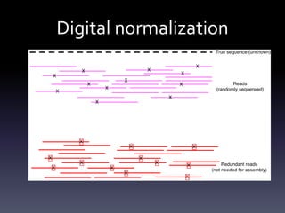 Digital normalization
 