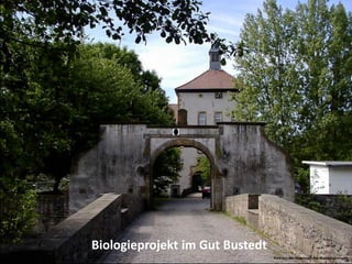 Fotoalbum
von Hajo
Biologieprojekt im Gut Bustedt
Foto aus der Homepage des Biologiezentrums
 