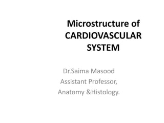 Microstructure of
CARDIOVASCULAR
SYSTEM
Dr.Saima Masood
Assistant Professor,
Anatomy &Histology.
 