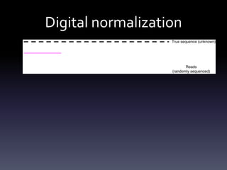 Digital normalization
 
