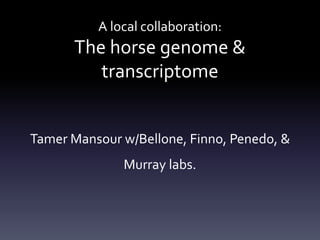 A local collaboration:
The horse genome &
transcriptome
Tamer Mansour w/Bellone, Finno, Penedo, &
Murray labs.
 