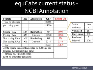 equCabs current status -
NCBI Annotation
Feature Acc Annotation GFF Refseq DB
Total no of genes 25565
ptn coding genes 19686
Coding RNA NM BestRefSeq 764 1097
Coding RNA XM Gnomon 31578 31346
Non coding RNA NR BestRefSeq 348 726
Non coding RNA XR Gnomon 3311 3310
Total 36001 36479
32342 coding transcripts encoded by 19686 genes
(average 1.6 transcript per gene)
There are 3034 pseudo genes
(with no annotated transcripts)
Status count
reviewed 4
Validated 267
Provisional 540
Predicted 7
inferred 279
Tamer Mansour
 
