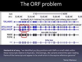 The ORF problem
Hestand et al 2014: “we identified 301,829 positions with SNPs or small indels within
these transcripts relative to EquCab2. Interestingly, 780 variants extend the open reading
frame of the transcript and appear to be small errors in the equine reference genome”
Tamer Mansour
 