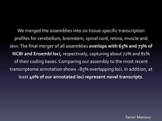 We merged the assemblies into six tissue-specific transcription
profiles for cerebellum, brainstem, spinal cord, retina, muscle and
skin.The final merger of all assemblies overlaps with 63% and 73% of
NCBI and Ensembl loci, respectively, capturing about 72% and 81%
of their coding bases. Comparing our assembly to the most recent
transcriptome annotation shows ~85% overlapping loci. In addition, at
least 40% of our annotated loci represent novel transcripts.
Tamer Mansour
 