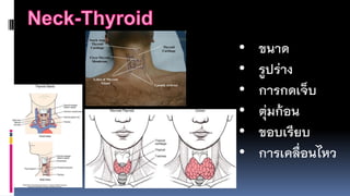 • ขนำด
• รูปร่ำง
• กำรกดเจ็บ
• ตุ่มก้อน
• ขอบเรียบ
• กำรเคลื่อนไหว
 