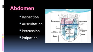 Inspection
Auscultation
Percussion
Palpation
 