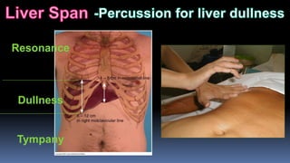 Resonance
Dullness
Tympany
 