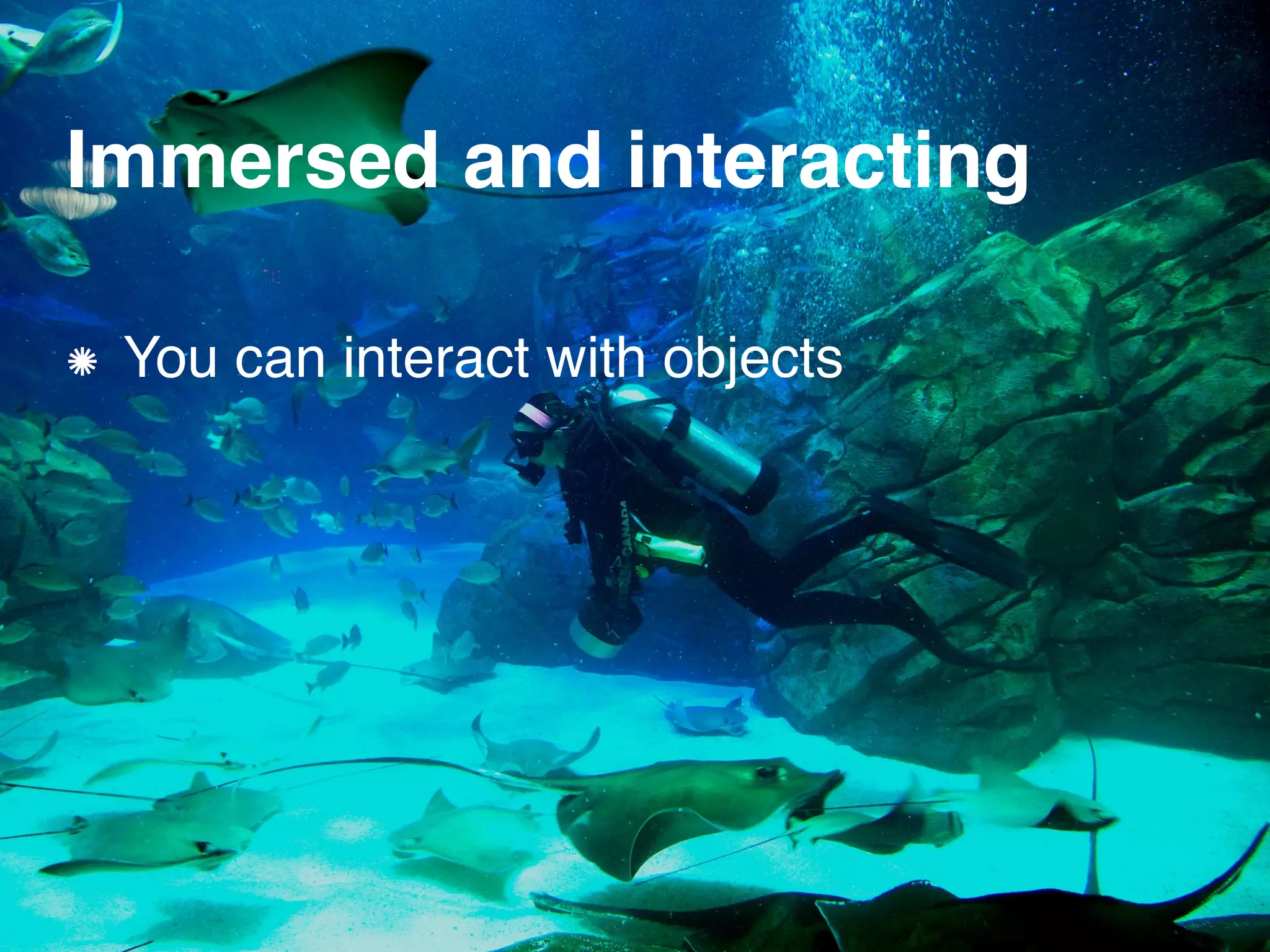 Immersed and interacting
You can interact with objects
 