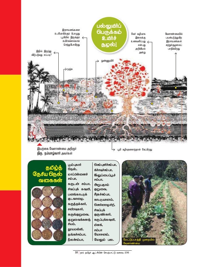 Naam Tamilar Katchi
