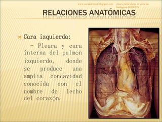 2016 ppt - ANATOMÍA DEL CORAZÓN - TUTORÍA ACADÉMICA | PDF | Heart and ...
