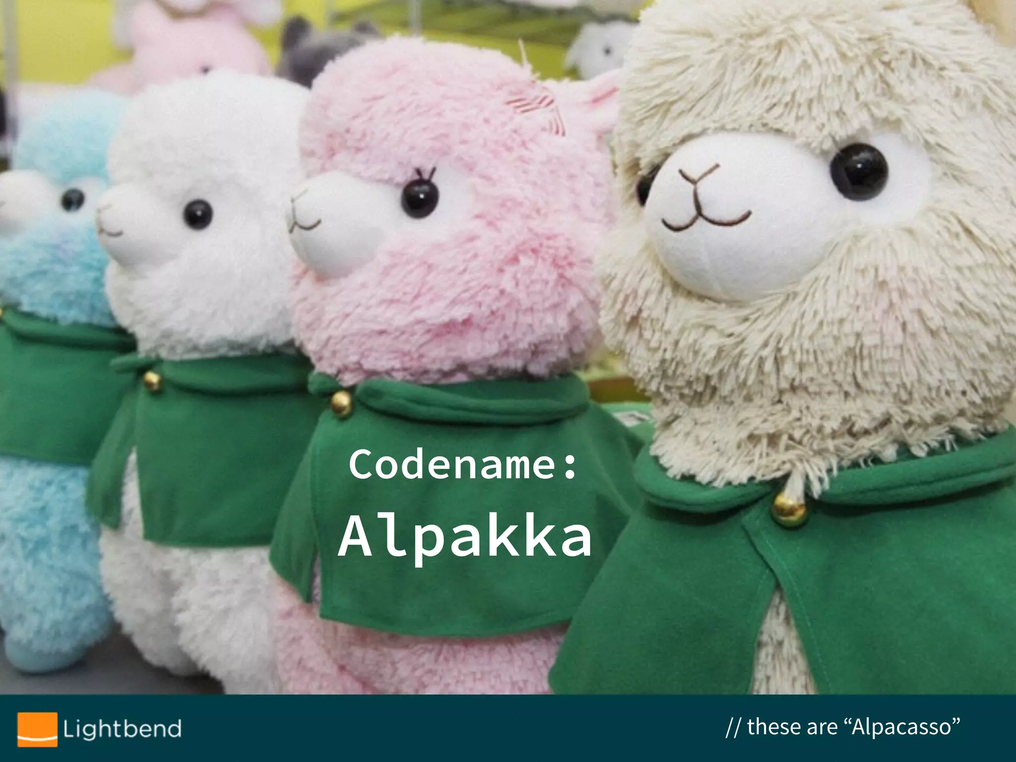 Codename:
Alpakka
// these are “Alpacasso”
 
