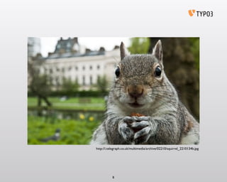 8
http://i.telegraph.co.uk/multimedia/archive/02210/squirrel_2210134b.jpg
 