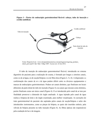 Revisão de literatura
27
O tubo de inserção do endoscópio gastrointestinal flexível, introduzido no sistema
digestório do paciente para a realização do exame, é formado por longos e estreitos canais,
como os de ar/água, os de sucção/biópsia e os de fibra ótica (Figura 2, 3 e 4). A disposição e a
conformação dos canais de ar e de água podem diferir entre os diversos equipamentos e
marcas de endoscópios gastrointestinais. Podem ser canais distintos, que finalizam em locais
diferentes da parte distal do tubo de inserção (Figura 3); ou canais que iniciam como distintos,
porém finalizam como um único canal (Figura 4). O ar introduzido pelo canal de ar tem por
finalidade promover a distensão do órgão analisado. A água injetada pelo canal de água
realiza a limpeza da lente e do órgão examinado, para melhor visualização. As secreções do
trato gastrointestinal do paciente são aspiradas pelos canais de sucção/biópsia e neles são
introduzidos instrumentos, como as pinças de biópsia, as quais são inseridas estéreis, pela
válvula de biópsia presente no tubo inserção (Figura 4). As fibras ópticas são responsáveis
pela condução de luz e da imagem.
Cordão umbilical
Fonte: Disponível em: www.olympuslatinoamerica.com/portuguese/msg/msg_product_
detail_port.asp?d=1&s=4&c=16&g=2087. Acesso em: 22 Jun 2016.
Tubo de inserção
Cabeça
Parte distal do tubo de
inserção
Figura 1 - Partes do endoscópio gastrointestinal flexível: cabeça, tubo de inserção e
cordão umbilical.
 