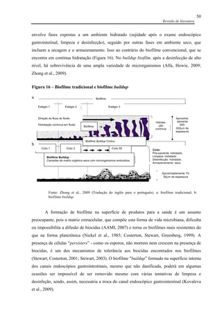 Revisão de literatura
50
envolve fases expostas a um ambiente hidratado (sujidade após o exame endoscópico
gastrointetinal, limpeza e desinfecção), seguido por outras fases em ambiente seco, que
incluem a secagem e o armazenamento. Isso ao contrário do biofilme convencional, que se
encontra em contínua hidratação (Figura 16). No buildup biofilm, após a desinfecção de alto
nível, há sobrevivência de uma ampla variedade de microrganismos (Alfa, Howie, 2009;
Zhong et al., 2009).
A formação de biofilme na superfície de produtos para a saúde é um assunto
preocupante, pois a matriz extracelular, que compõe esta forma de vida microbiana, dificulta
ou impossibilita a difusão de biocidas (AAMI, 2007) e torna os biofilmes mais resistentes do
que na forma planctônica (Nickel et al., 1985; Costerton, Stewart, Greenberg, 1999). A
presença de células “persisters” - como os esporos, não morrem nem crescem na presença de
biocidas, é um dos mecanismos de tolerância aos biocidas encontrados nos biofilmes
(Stewart; Costerton, 2001; Stewart, 2003). O biofilme "buildup” formado na superfície interna
dos canais endoscópios gastrointestinais, mesmo que não danificada, poderá em algumas
ocasiões ser impossível de ser removido mesmo com várias tentativas de limpeza e
desinfeção, sendo, assim, necessária a troca do canal endoscópico gastrointestinal (Kovaleva
et al., 2009).
Fonte: Zhong et al., 2009 (Tradução do inglês para o português). a: biofilme tradicional; b:
biofilme buildup.
Hidrata-
ção
contínua
Aproxima-
damente
300-
500µm de
espessura
Aproximadamente 10-
50µm de espessura
Ciclo:
Pós-paciente: hidratado
Limpeza: hidratado
Desinfecção: hidratado
Armazenamento: seco
Biofilme Buildup
Camadas de matriz orgânica seca com microrganismos embutidos.
Ciclo 1
Estágio 1 Estágio 2 Estágio 3
Biofilme
Direção do fluxo do fluido
Hidratação contínua em fluido
Biofilme
Ciclo 50
Biofilme Buildup Cíclico
Ciclo 2
Figura 16 – Biofilme tradicional e biofilme buildup
a
b
 