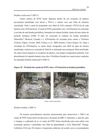 Materiais e métodos
58
Biofilme tradicional-5 (TBF-5)
Canais estéreis de PTFE foram dispostos dentro de um recipiente de plástico
previamente desinfetado com álcool a 70%v/v e coberto com uma folha de alumínio
esterilizada. Todo o canal foi preenchido com 20ml de ATS contendo 108
UFC/ml de cada
bactéria teste (ATS-bactéria). O canal de PTFE preenchido com o ATS-bactéria foi conectado
a um tubo de uma bomba peristáltica, formando um sistema fechado, dentro de uma cabine de
proteção biológica (CPB). O tubo foi conectado às roldanas da bomba peristáltica
(Masterflex®
Montreal, Canada) e o ATS-bactéria foi circulado pelos canais a 75ml/hora
(Vickery, Pajkos, Cossart, 2004; Vickery et al., 2009) durante 2 horas (Figura 18). Após a
circulação do ATS-bactéria, os canais foram enxaguados com 20ml de água de torneira
esterilizada e realizou-se a inserção de 30ml de ar utilizando uma seringa de 30ml esterilizada.
Os canais foram dispostos no recipiente de plástico, com tampa à temperatura ambiente. Este
procedimento foi repetido durante cinco dias. O biofilme formado nos canais nestes condições
foi intitulado biofilme tradicional-5 (TBF-5).
Biofilme buildup-5 (BBF-5)
Os mesmos procedimentos descritos anteriormente para desenvolver o TBF-5 em
canais de PTFE foram desenvolvidos para a formação de BBF-5. Entretanto, a cada dia, após
o enxágue e a aplicação de ar, os canais de PTFE foram transferidos para uma cabine com
exaustação química e perfundido com 20ml de glutaraldeído a 2,6% (Metricide®
, Orange,
Califórnia, EUA) por 20 minutos à temperatura ambiente, de acordo com as recomendações
Figura 18 – Perfusão dos canais de PTFE com o ATS-bactéria na bomba peristáltica.
Fonte: Acervo da autora
 