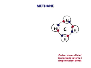 METHANE
Carbon shares all 4 of
its electrons to form 4
single covalent bonds
 