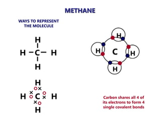 METHANE
Carbon shares all 4 of
its electrons to form 4
single covalent bonds
H C H
H
H
H C H
H
H
WAYS TO REPRESENT
THE MOLECULE
 