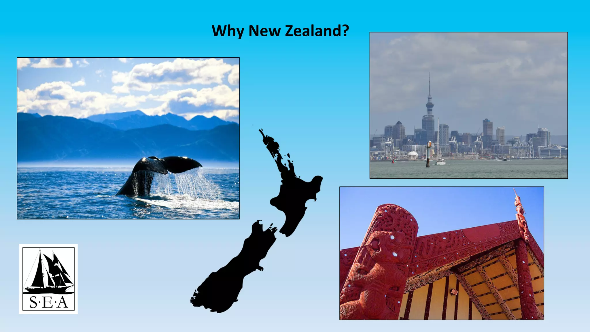 Why	New	Zealand?	
 