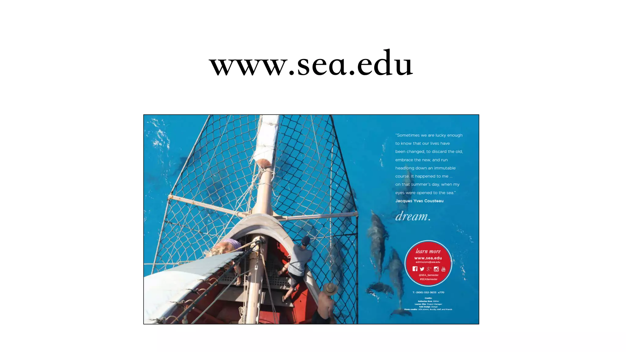 www.sea.edu
 