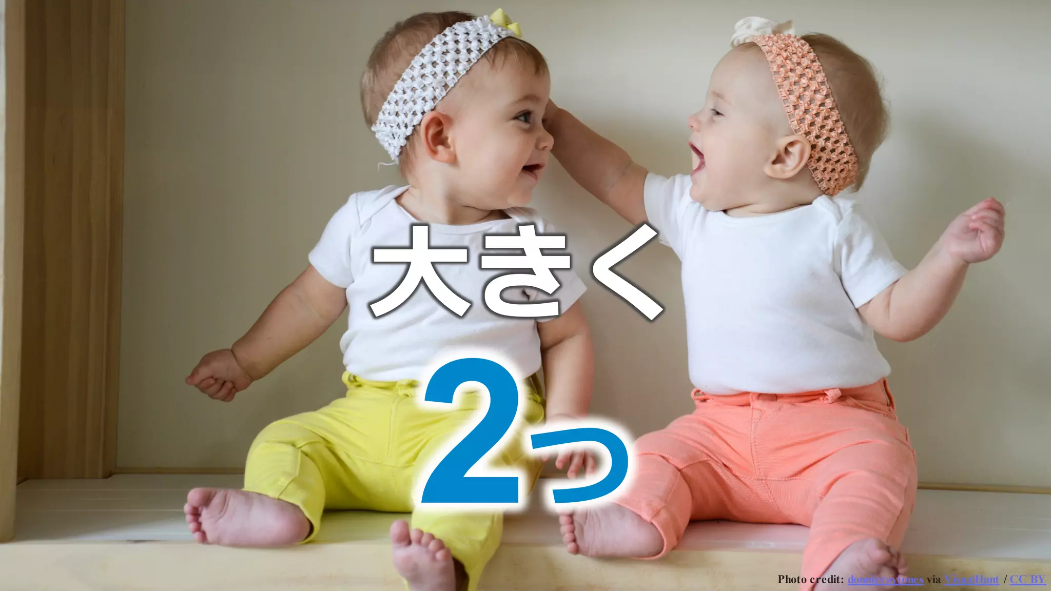 ⼤大きく
Photo credit: donnierayjones via VisualHunt / CC BY
2つ
 