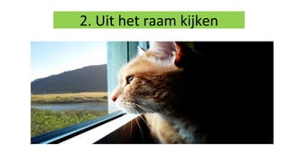 2. Uit het raam kijken
 