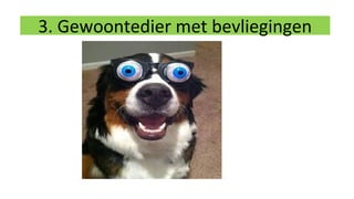 3. Gewoontedier met bevliegingen
 