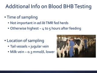 Hyperketonemia Treatment at the Individual Cow and Herd Level | PPTX